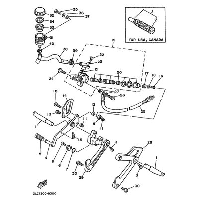 SCREW(3LC)