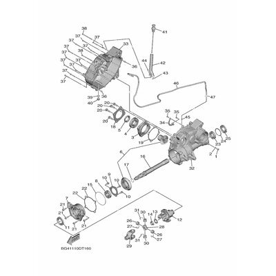 CASE, TRANSFER 2