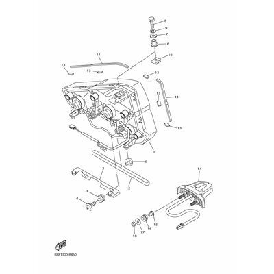 BOLT (336)