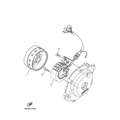 STATOR KOMPL.