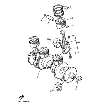 OIL SEAL(36Y)