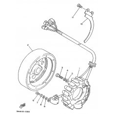 STATOR KOMPL.