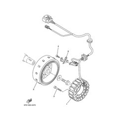 STATOR KOMPL.