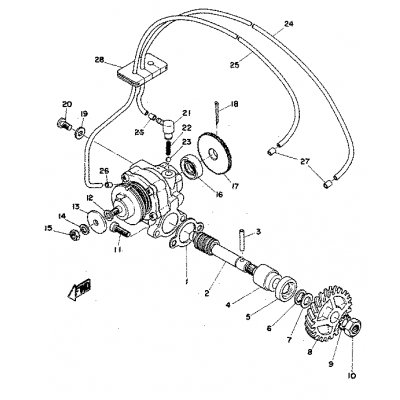 FORDERROHR 1