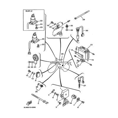 SIGNALHORN