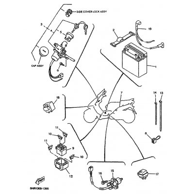 HALTER, SICHERUNG