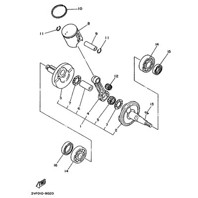 OIL SEAL (5X2)