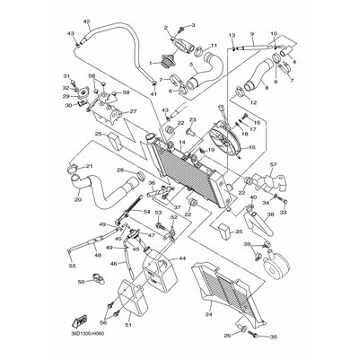 BOLT, FLANGE(7Y6)