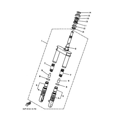 INNERES GABELBEINROHR 1