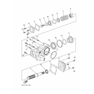 OIL SEAL 2