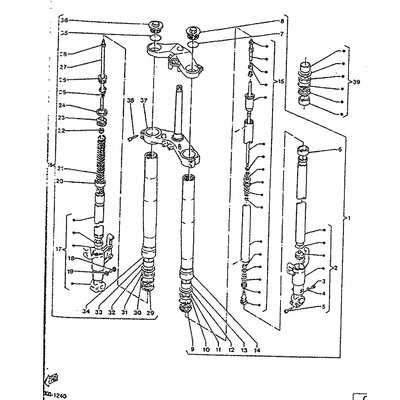 INNERES GABELBEINROHR 2