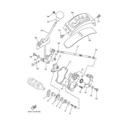 OIL SEAL 2