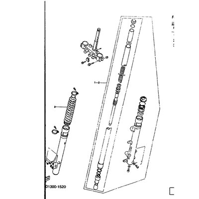 GABELBEIN (LINKS)