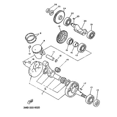 KOLBEN (0.25MM UG)