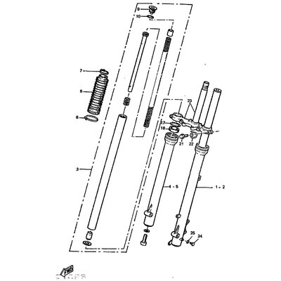 INNERES GABELBEINROHR 1