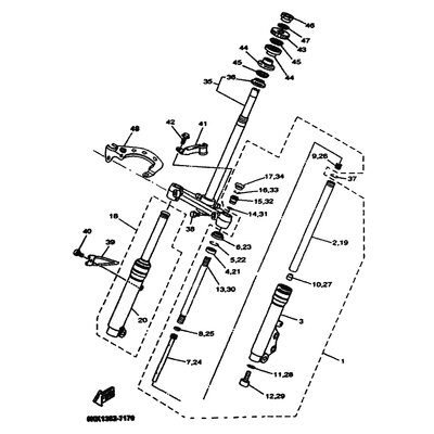 GABELBEIN (LINKS)