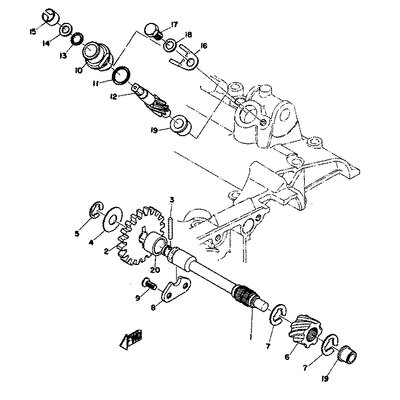 GEAR,PRIMARY