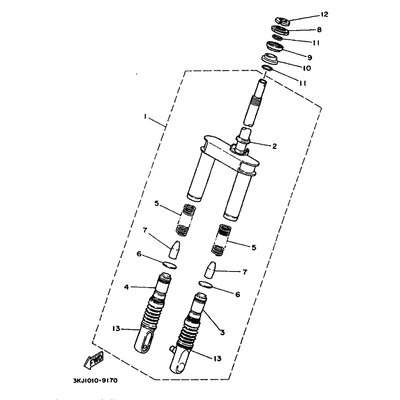 INNERES GABELBEINROHR 2