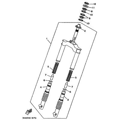 INNERES GABELBEINROHR 1