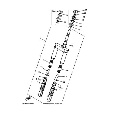 INNERES GABELBEINROHR 1