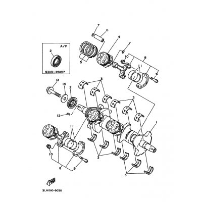 OIL SEAL(3LN)