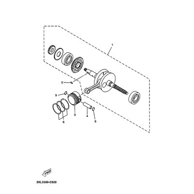 KOLBEN (0.25MM UG) OHNE RIN