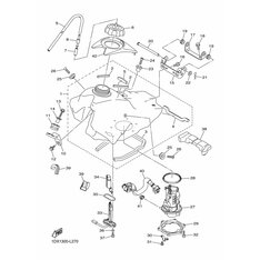 HALTER, DAMPFER