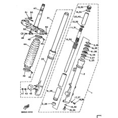 INNERES GABELBEINROHR 1